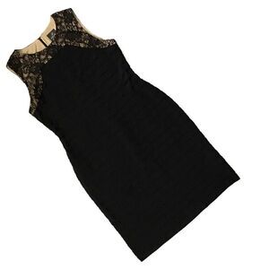 Adrianna Papell Lace Yoke Shutter Pleat Dress